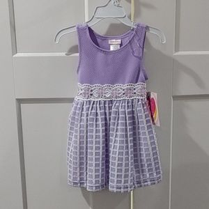 NWT Sweet purple 2T dress